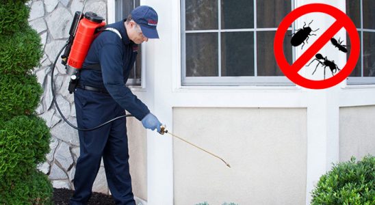 Çerkezköy Fare İlaçlama böcek ilaçlama ve haşere kontrolü — ilaclama-tr.com
